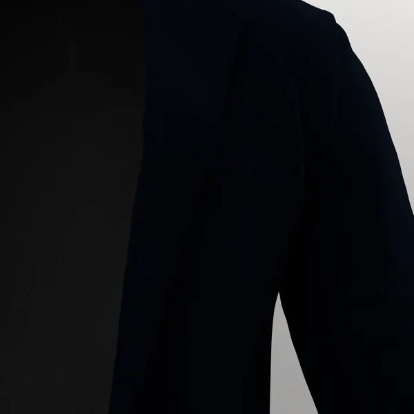 Dormeuil Executive No. 25117 made up: detail