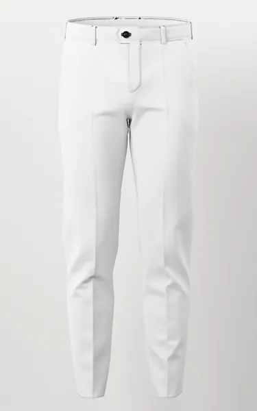 Vitale Barberis Canonico Perennial Super 110's Solid-Sharkskin No. 28768 made up: trousers