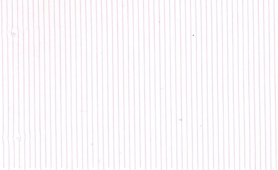 Casa Giorgi Shirting No. 29338, original swatch photo