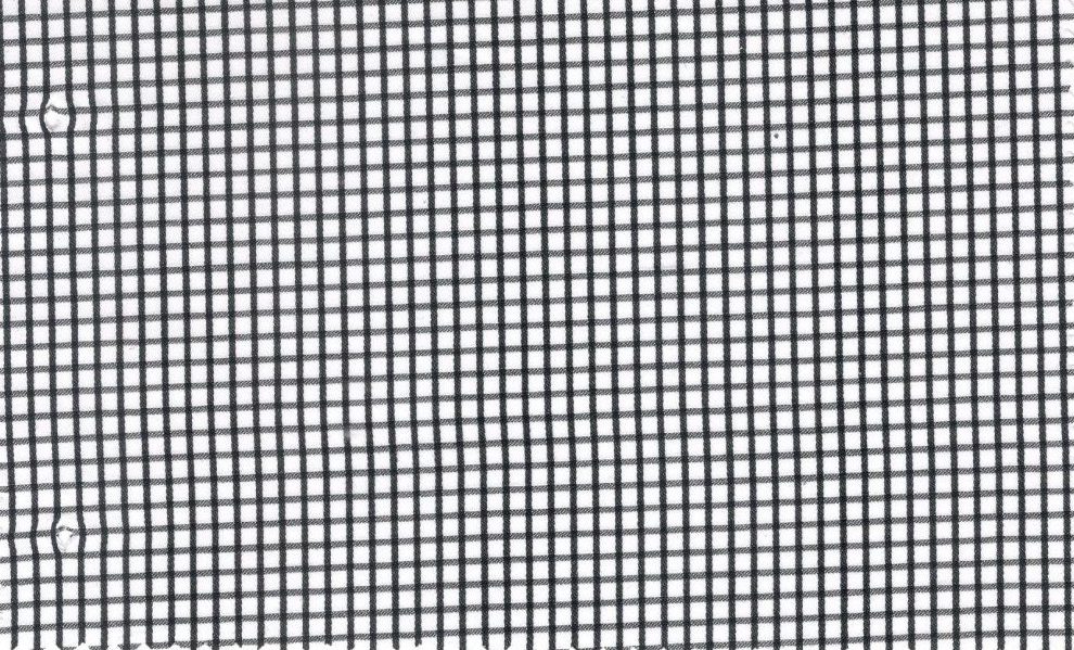 Casa Giorgi Shirting No. 29372, original swatch photo