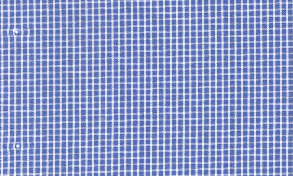 Casa Giorgi Shirting No. 29374, original swatch photo