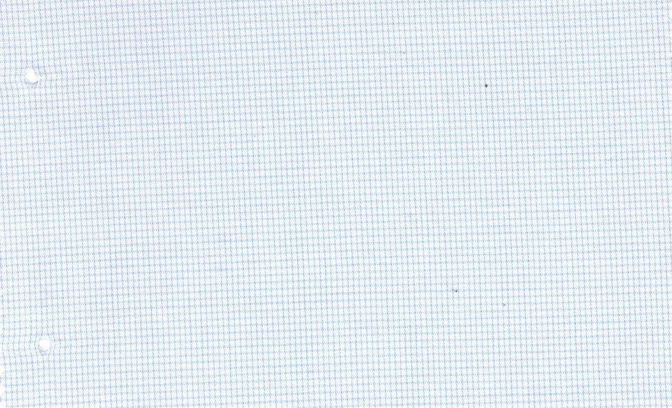 Casa Giorgi Shirting No. 29388, original swatch photo