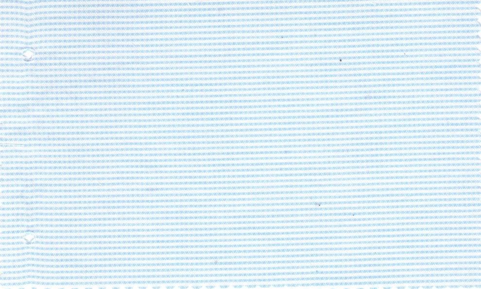 Casa Giorgi Shirting No. 29402, original swatch photo
