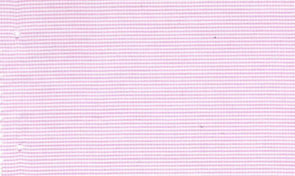 Casa Giorgi Shirting No. 29404, original swatch photo