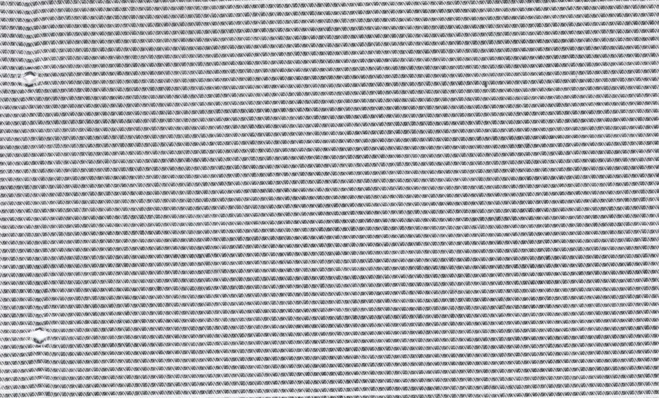 Casa Giorgi Shirting No. 29406, original swatch photo