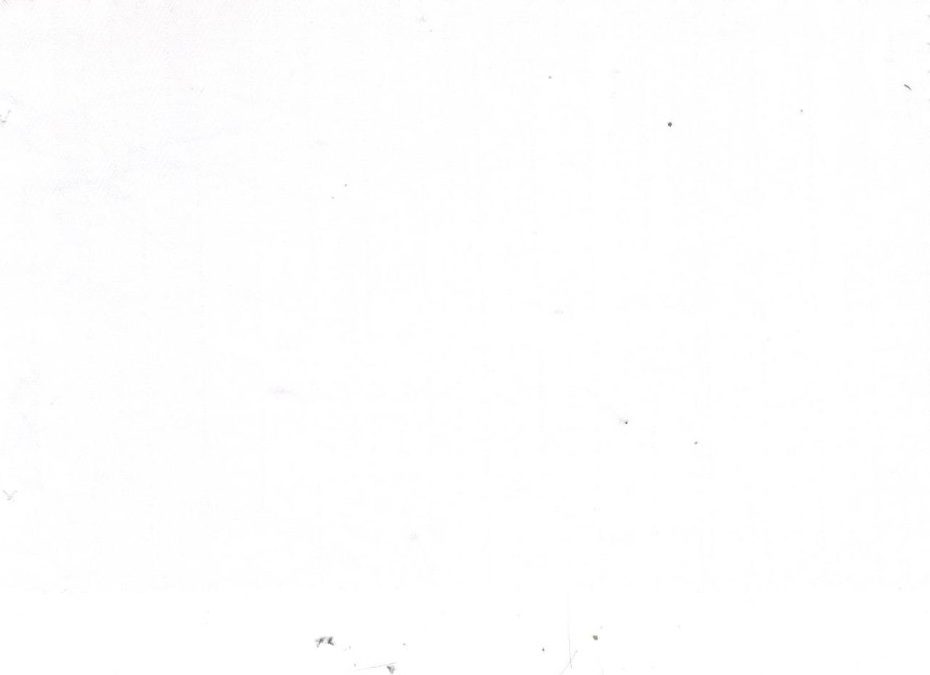 Casa Giorgi Shirting No. 29412, original swatch photo