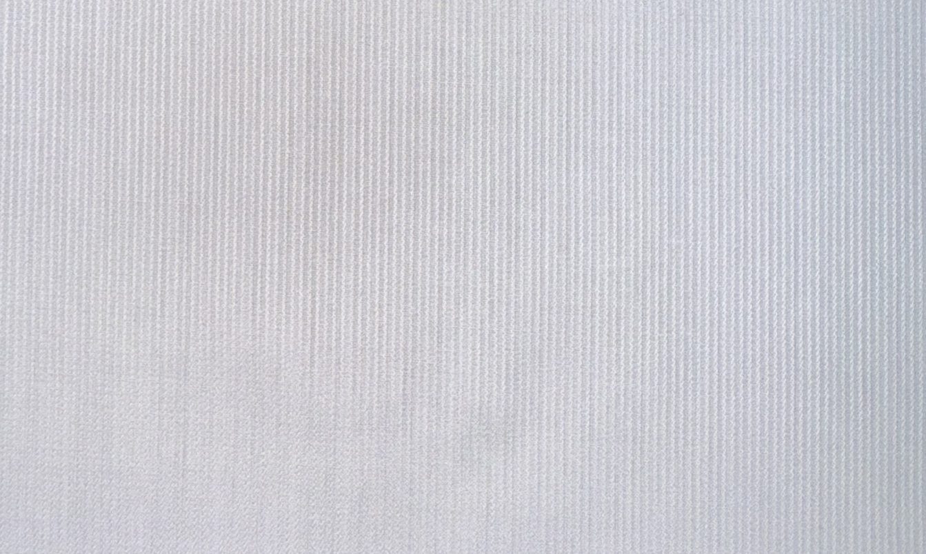 Casa Giorgi Shirting No. 29422, original swatch photo