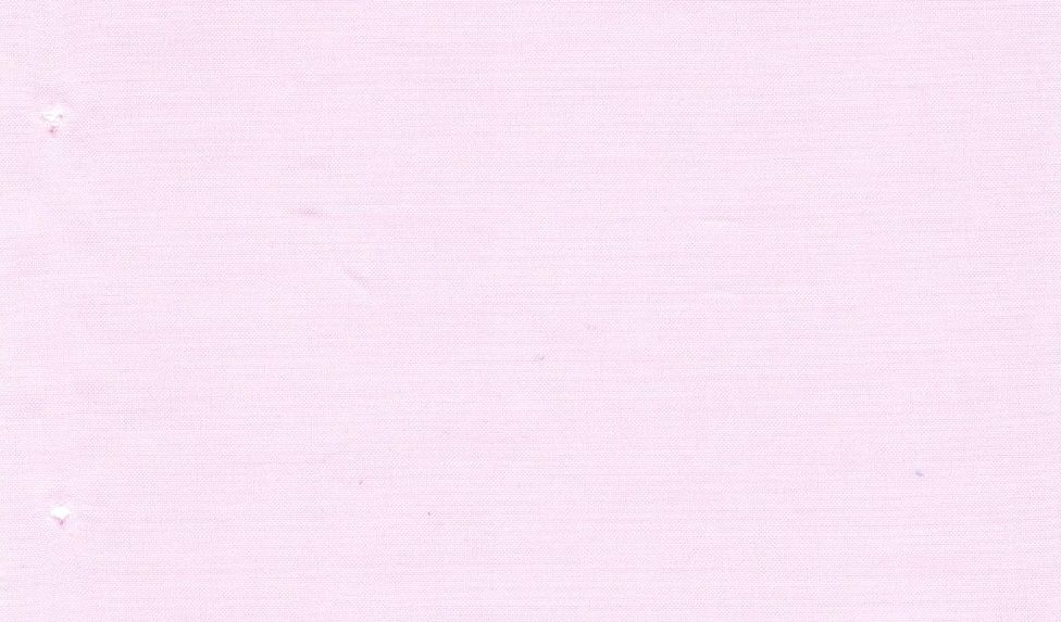 Casa Giorgi Shirting No. 29450, original swatch photo