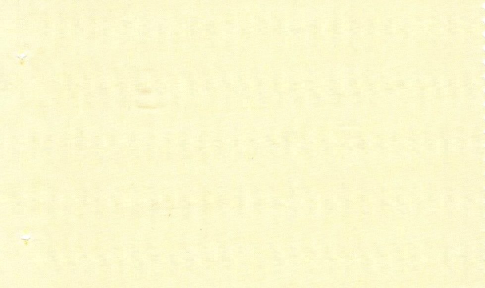 Casa Giorgi Shirting No. 29453, original swatch photo