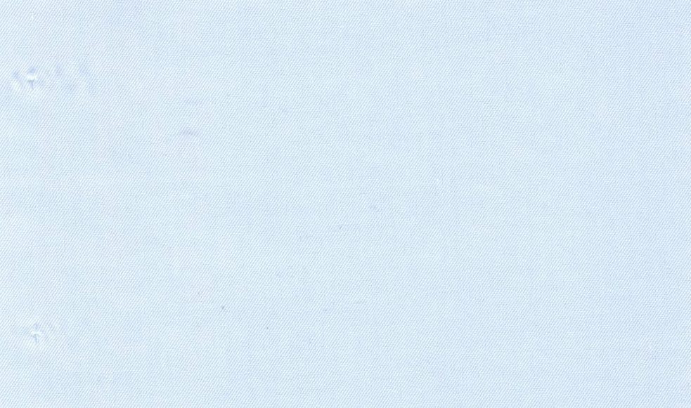 Casa Giorgi Shirting No. 29471, original swatch photo