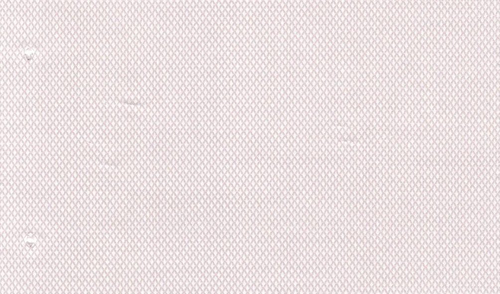 Casa Giorgi Shirting No. 30108, original swatch photo