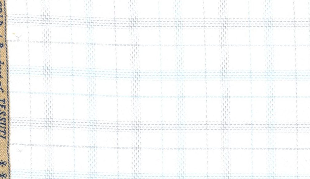 Casa Giorgi Shirting No. 30142, original swatch photo