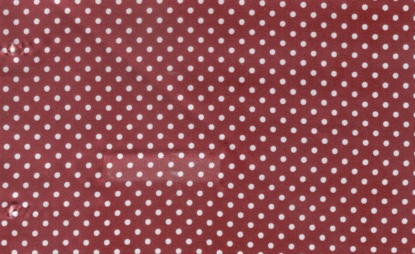 Flash Lining No. 29543, original swatch photo