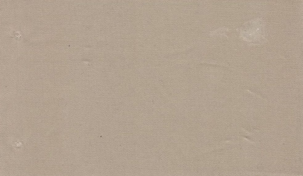 Gianluca Biatti Stretch Cotton No. 29549, original swatch photo