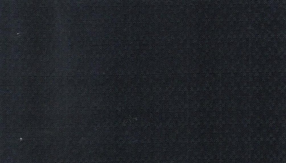 Michaelangelo Stretch Wool No. 29844, original swatch photo