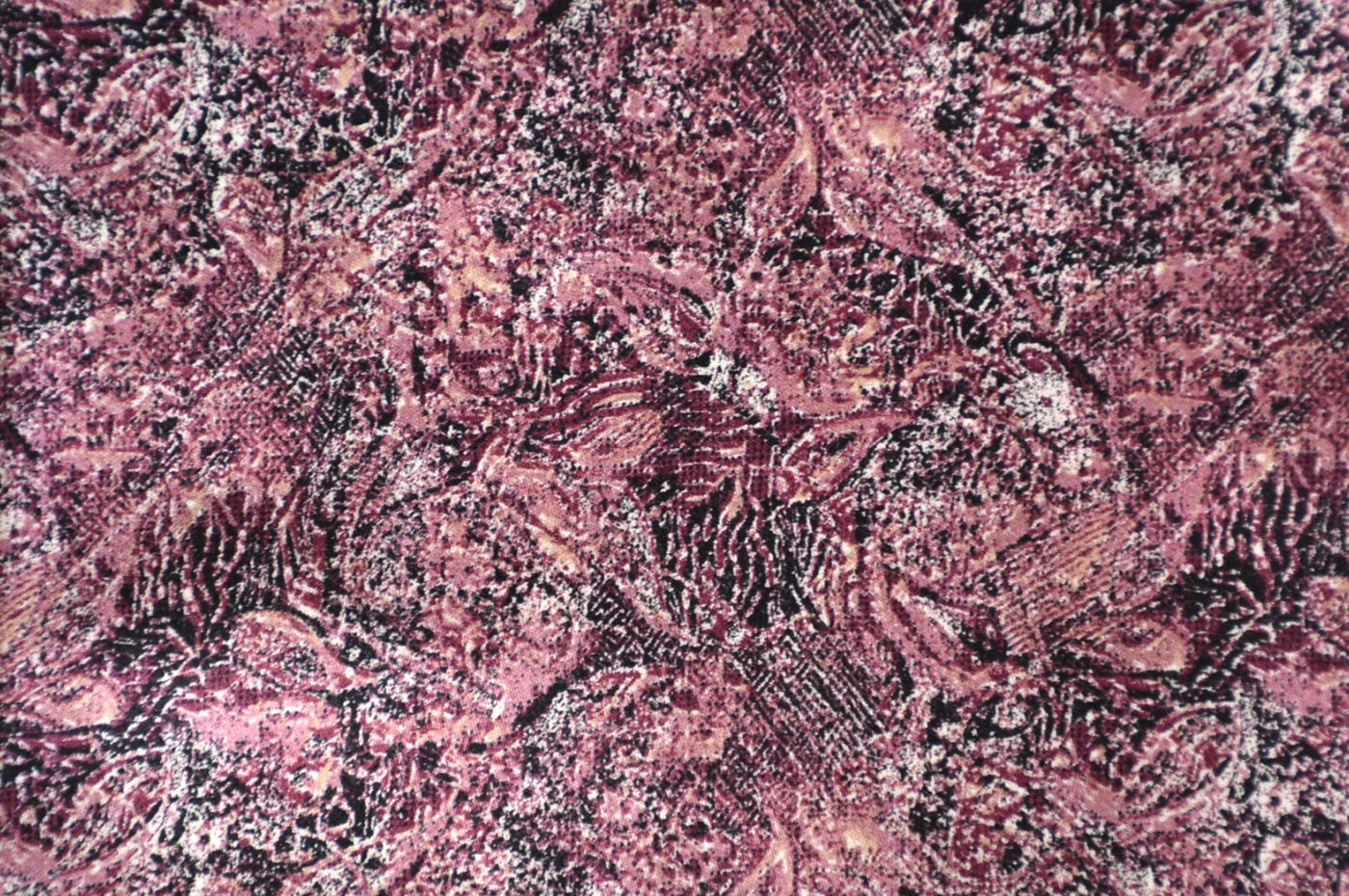 Printed Shirting No. 28099, original swatch photo