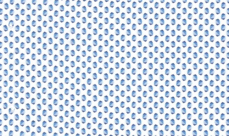 Printed Shirting No. 29569, original swatch photo