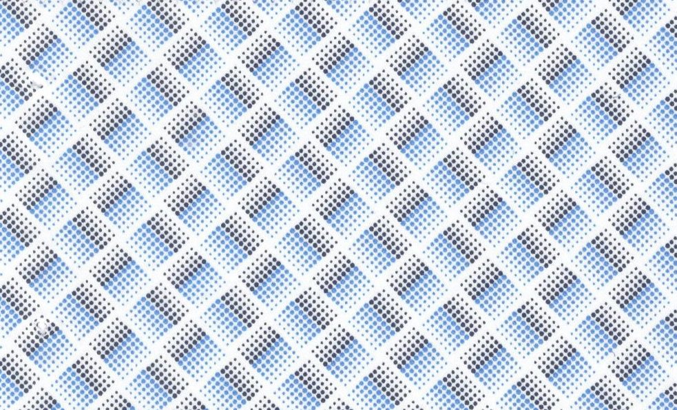 Printed Shirting No. 29582, original swatch photo
