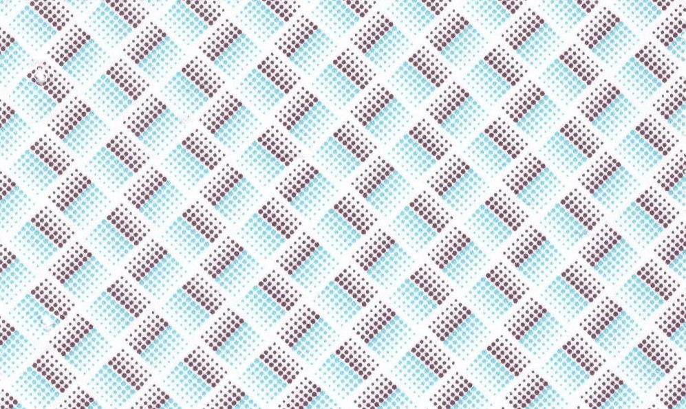 Printed Shirting No. 29583, original swatch photo