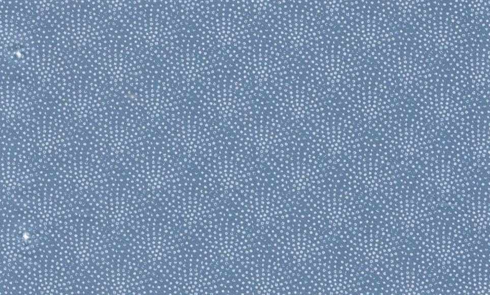 Printed Shirting No. 29588, original swatch photo