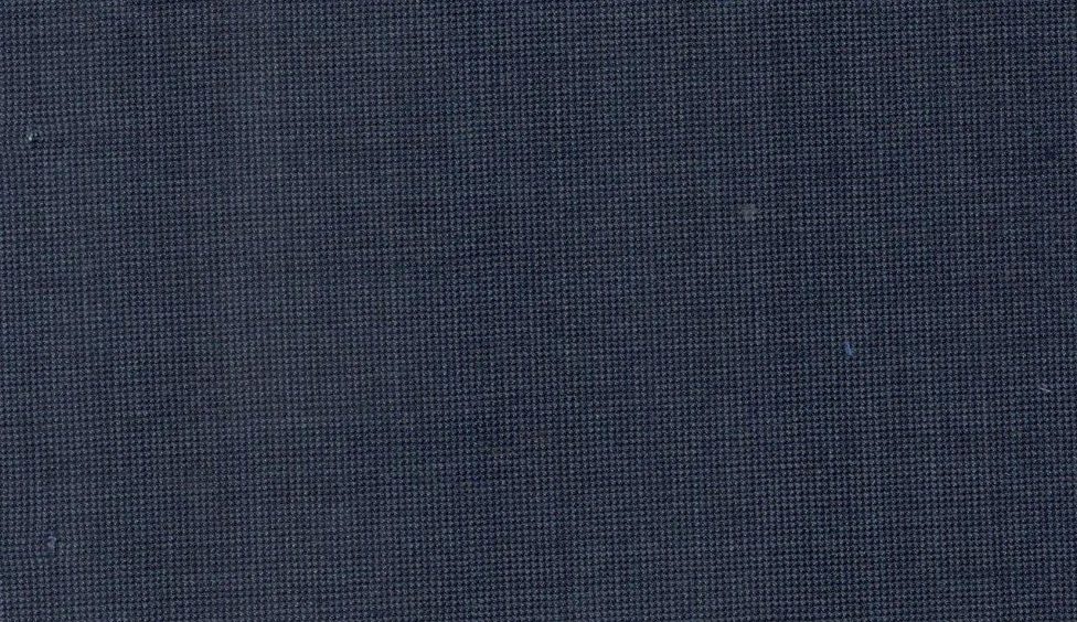Vitale Barberis Canonico Perennial Super 110's Fancies No. 29923, original swatch photo
