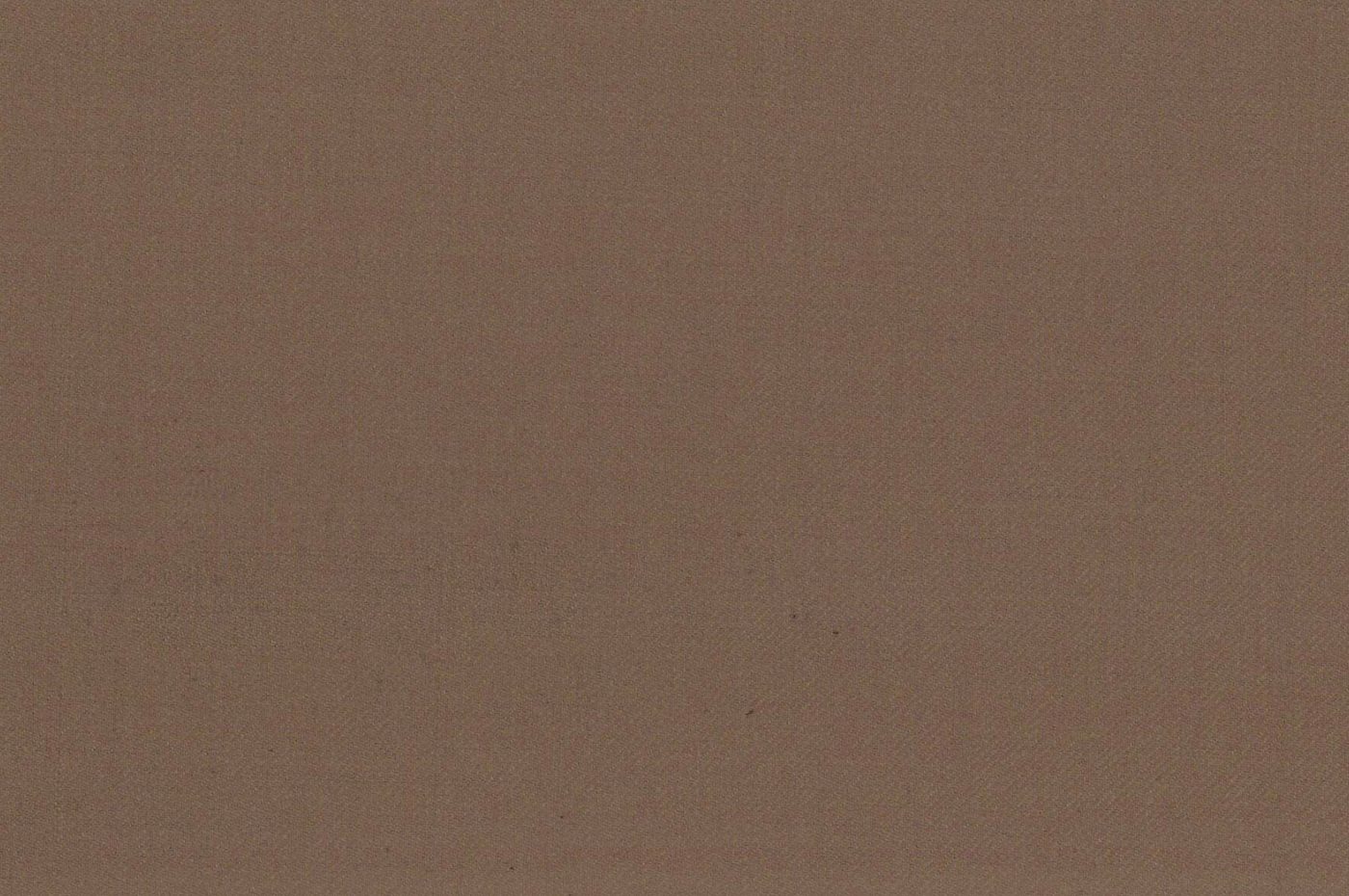 Vitale Barberis Canonico Perennial Super 110's Solid-Sharkskin No. 26942, original swatch photo