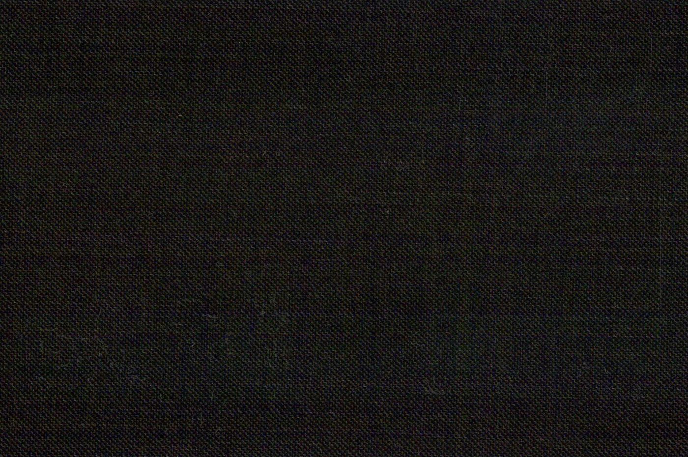 Vitale Barberis Canonico Perennial Super 110's Solid-Sharkskin No. 26961, original swatch photo