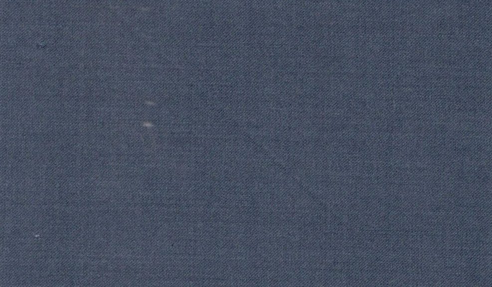 Vitale Barberis Canonico Perennial Super 110's Solid-Sharkskin No. 29287, original swatch photo
