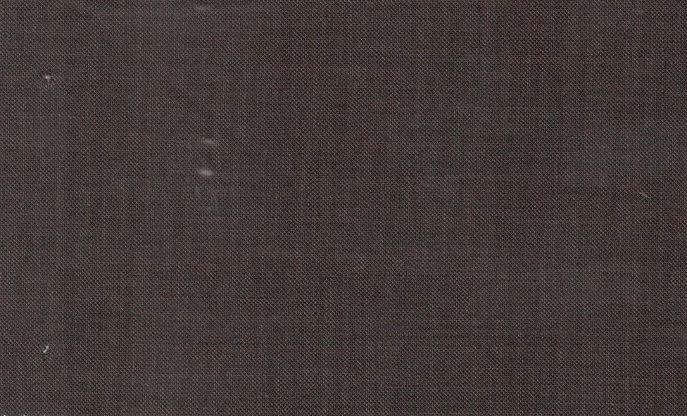 Vitale Barberis Canonico Perennial Super 110's Solid-Sharkskin No. 29289, original swatch photo