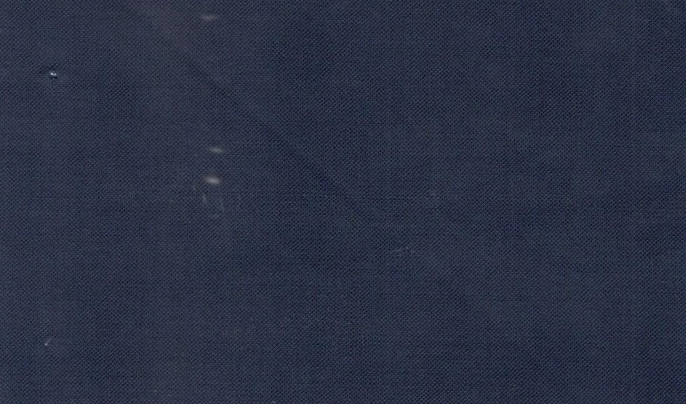 Vitale Barberis Canonico Perennial Super 110's Solid-Sharkskin No. 29292, original swatch photo