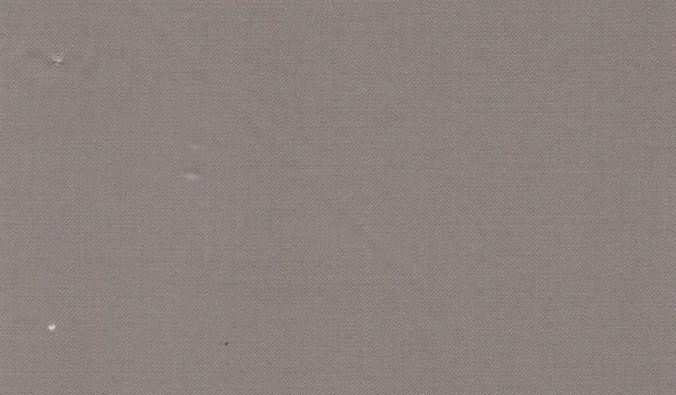 Vitale Barberis Canonico Perennial Super 110's Solid-Sharkskin No. 29680, original swatch photo