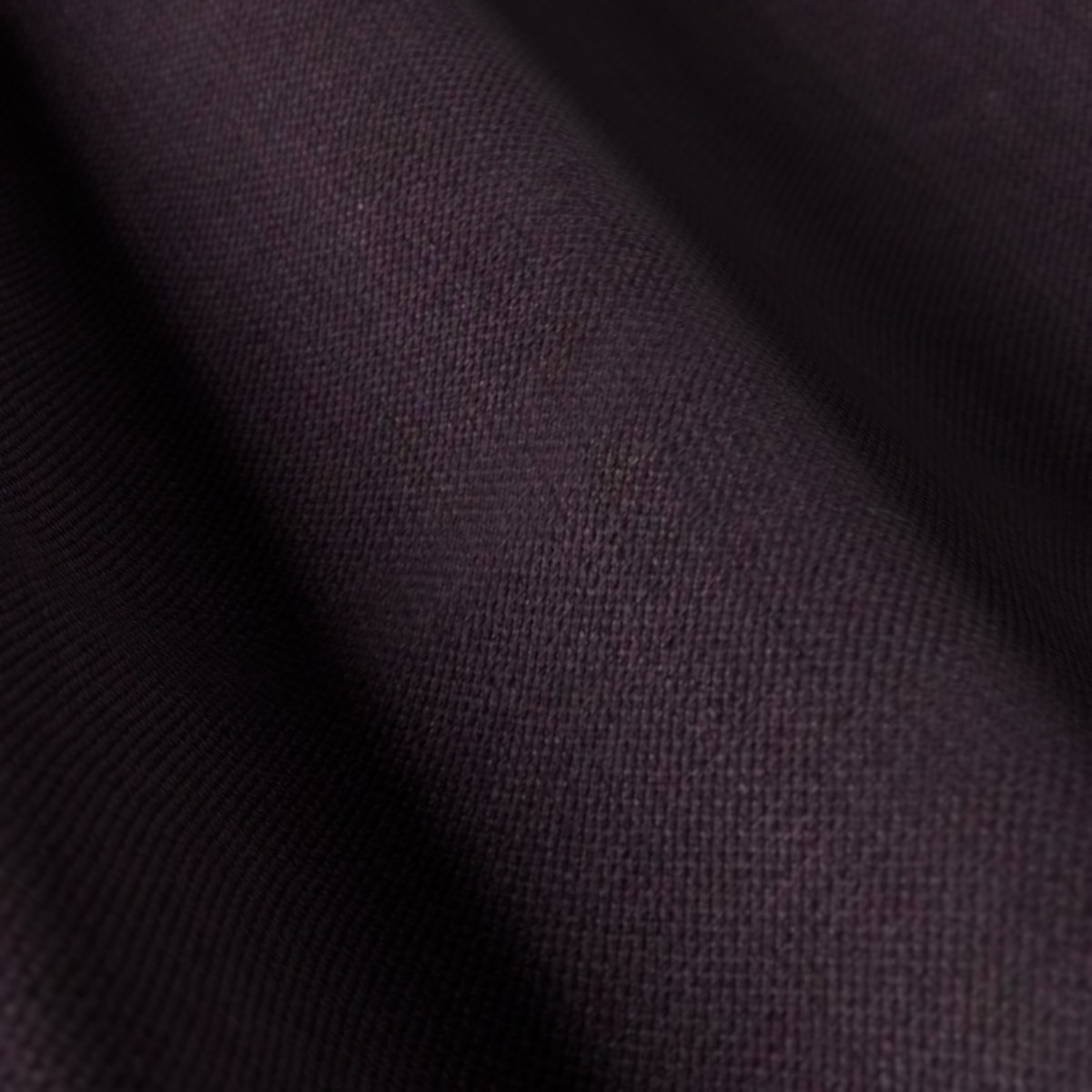 Caesar Romeo No. 30213, draped close-up