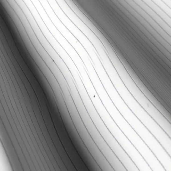 Casa Giorgi Shirting No. 29339, white shirting fabric