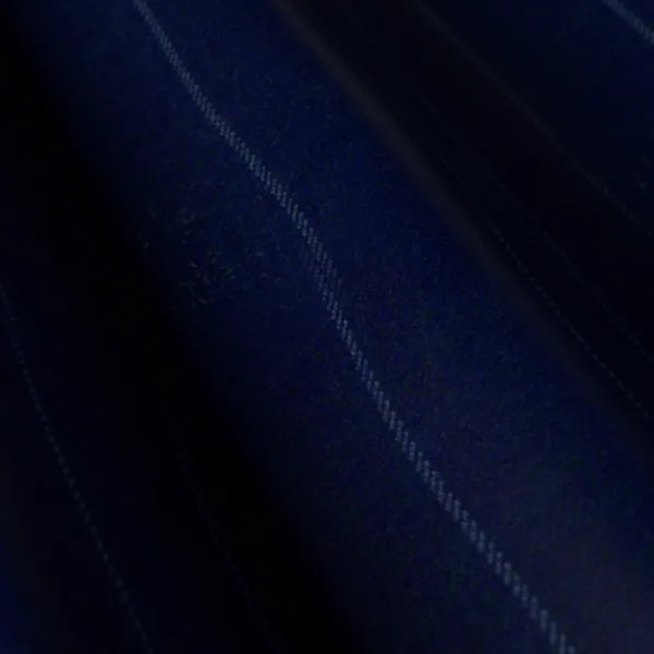 Vitale Barberis Canonico Perennial Super 110's Fancies No. 27772, navy suiting fabric