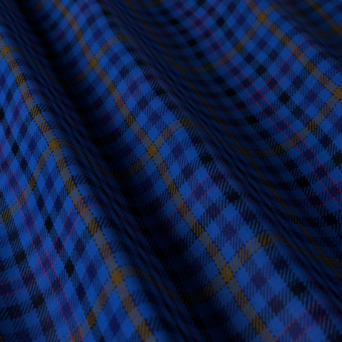 Ferre No. 28209, draped