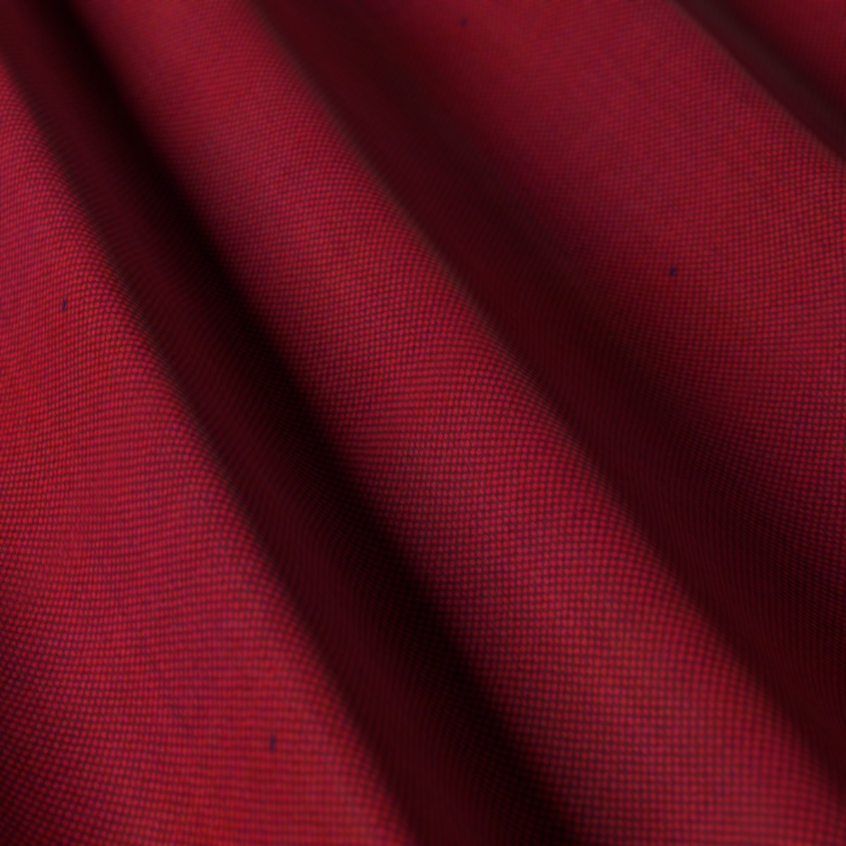 Ferre No. 28219, draped