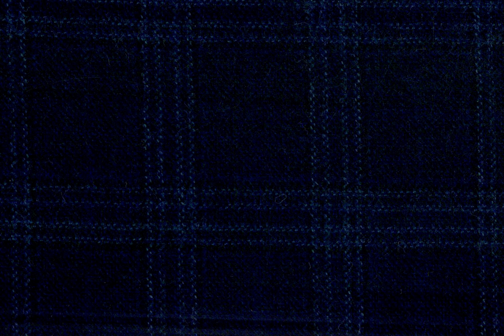 Sport Coats cloth 28569-195: DARK NAVY CHECK