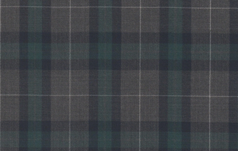 Sport Coats cloth 28842-160: GREY W/GREEN CHECK