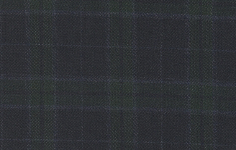 Sport Coats cloth 28844-160: NAVY W/GREEN CHECK