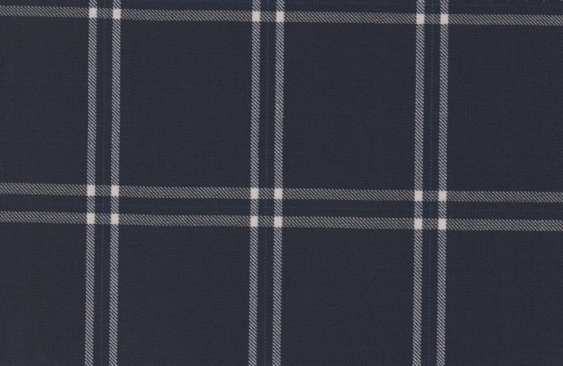 Sport Coats cloth 28845-160: NAVY BIG WINDOWPANE